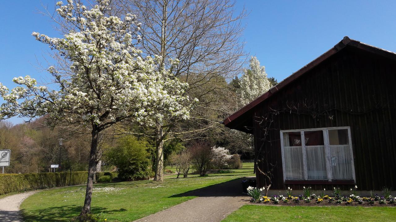 Gaestehaus St Theresia Bodensee Эрискирх Экстерьер фото